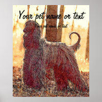 Afghan hound dog in the forest