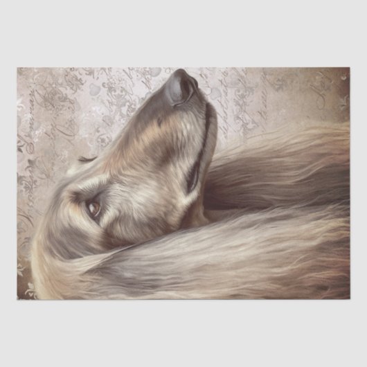 Afghan Hound Dog Tissuepapier (Voorkant)