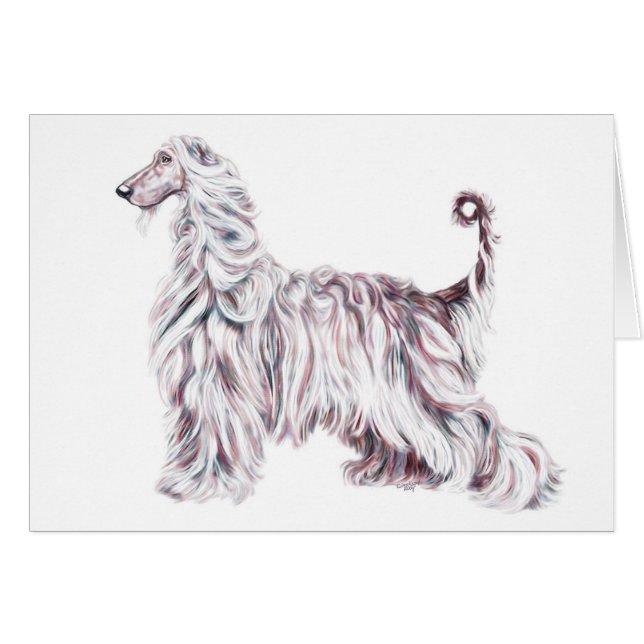 Afghan Hound Elegance (Voorkant Horizontaal)