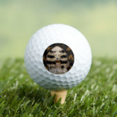 AFGHAN HOUND GOUD  GOLFBALLEN (Insitu Shirt)