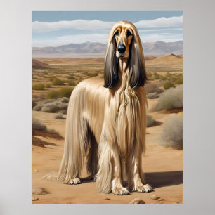 Afghan Hound - Hond Art Print
