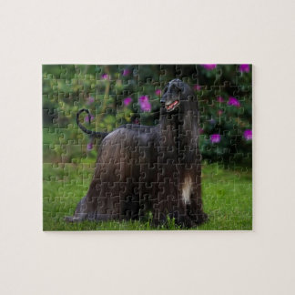 Afghan Hound Jigzaag Puzzle Legpuzzel