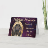 AFGHAN HOUND  KAART (Voorkant)