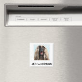 Afghan Hound Magnet (Insitu (Vaatwasser))