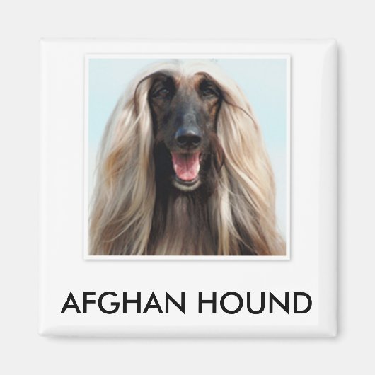 Afghan Hound Magnet (Voorkant)