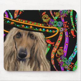 Afghan Hound Mexico Muismat