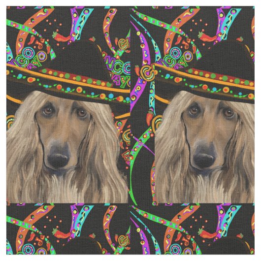Afghan Hound Mexico Stof (Close Up)