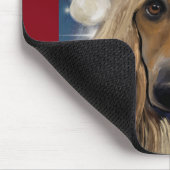  AFGHAN HOUND       MUISMAT (Hoek)