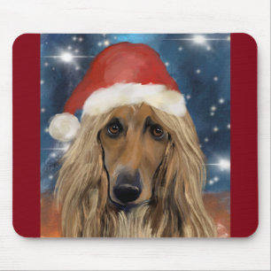  AFGHAN HOUND       MUISMAT
