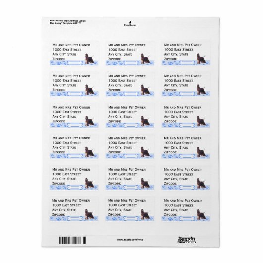 Afghan Hound op Blue Gingham Etiket (Full Sheet)