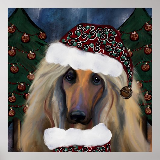 AFGHAN HOUND POSTER (Voorkant)