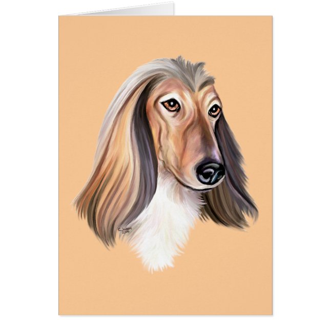 Afghan Hound Red HS (Voorkant)