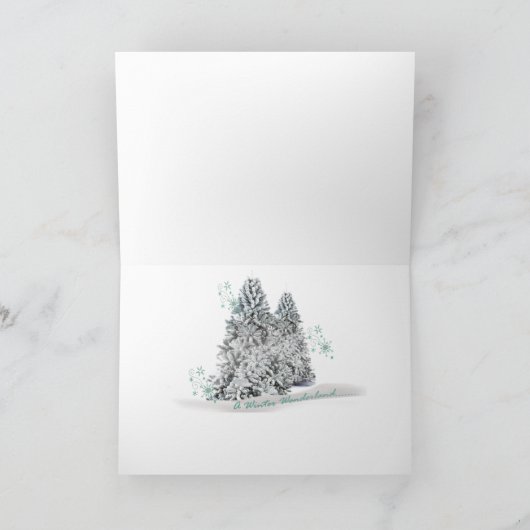 AFGHAN LAAT HET SNEEUWEN, LAAT HET KAARTEN SNEEUWE (Binnen)