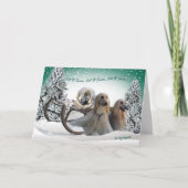 AFGHAN LAAT HET SNEEUWEN, LAAT HET KAARTEN SNEEUWE (Voorkant)