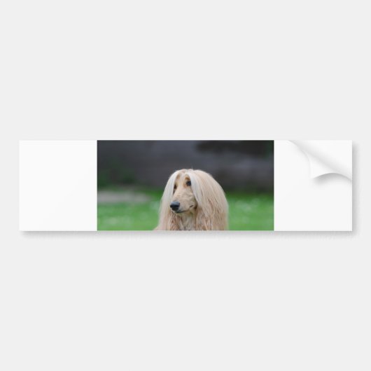 afghan-laying bumpersticker (Voorkant)