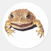 Afkeurende Toad Ronde Sticker (Voorkant)