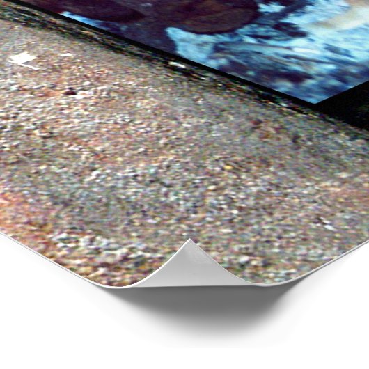 Aflame Poster (Hoek)