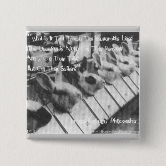 AFLEIDEN VAN VIVISECTIES VIERKANTE BUTTON 5,1 CM (Voorkant)