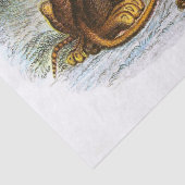 Afleiding  leeuwen en kubussen tissuepapier (Detail)