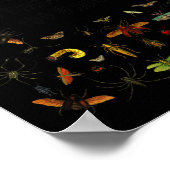 Afluisterde mijn leraar 100 dagen van school Kinde Poster (Hoek)