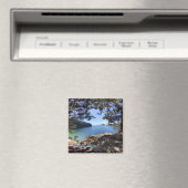 Afluisterpas Magnet (Insitu (Vaatwasser))