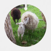 Afmetingen lammeren en ooien metalen ornament (Voorkant)