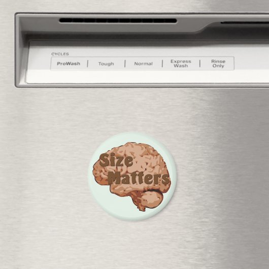 Afmetingen Magneet (Insitu (Vaatwasser))