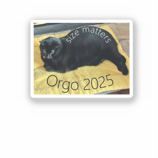 Afmetingen Sticker (Voorkant)