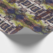 Afmetingen van Curiosity Cadeaupapier (Hoek)