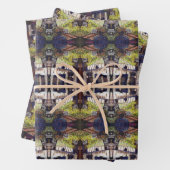 Afmetingen van Curiosity Inpakpapier Vel (In situ)