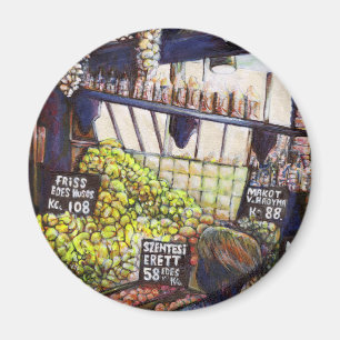 Afmetingen van Curiosity Magneet