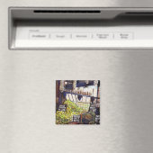 Afmetingen van Curiosity Magneet (Insitu (Vaatwasser))