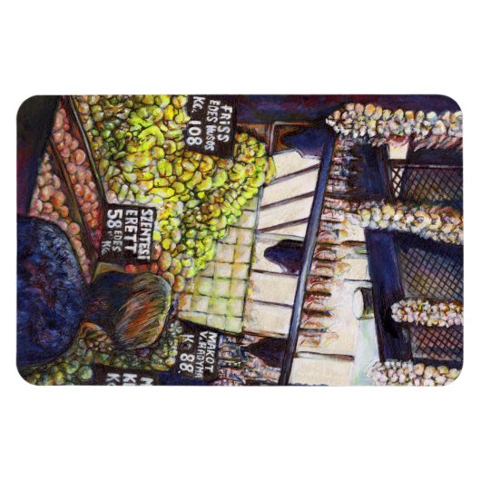 Afmetingen van Curiosity Magneet (Horizontaal)