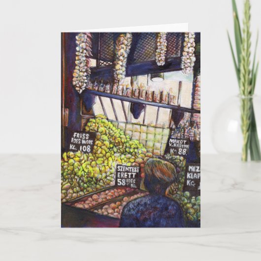 Afmetingen van Curiosity Programma (Voorkant)