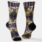 Afmetingen van Curiosity Sokken (Gebogen)