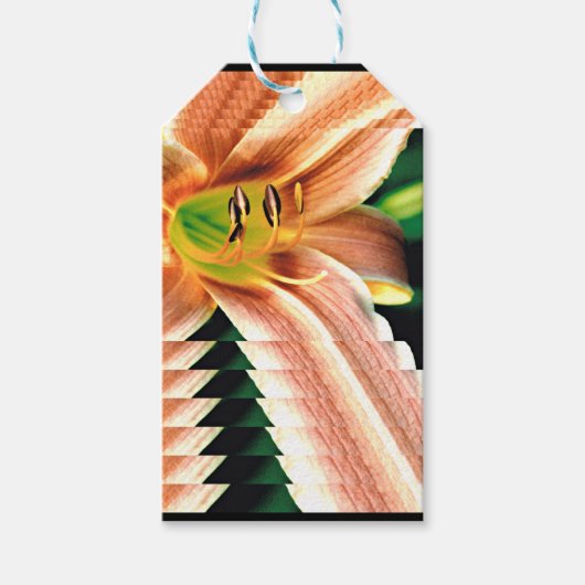 afnemende dagelijkse kost cadeaulabel (Voorkant)