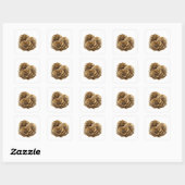 Afpelbare Zilveren GOUDEN ROZEN Cadeau Sticker (Vel)