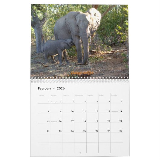 Africa - 2026 Calendar Kalender (Feb 2026)