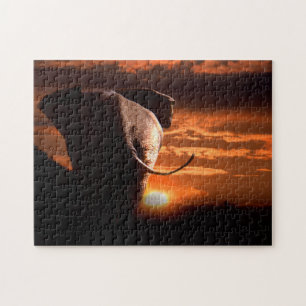 Africa Bull Elephant in the Setting Sun. Legpuzzel