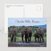 Africa Elephants Kenia, Chyulu Hills Briefkaart (Voorkant / Achterkant)