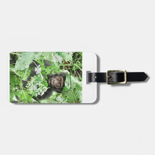 Africa - Gorilla Baby Bagagelabel (Voorkant horizontaal)