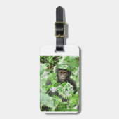 Africa - Gorilla Baby Bagagelabel (Voorkant verticaal)