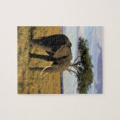 Africa, Kenia, Maasai Mara. An elehpant Legpuzzel (Horizontaal)