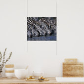 Africa, Kenia, Masai Mara Game Reserve, Plains Poster (Keuken)