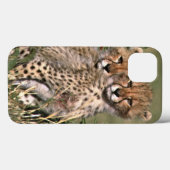 Africa; Kenia; Masai Mara; Three cheetah cubs; Case-Mate iPhone Case (Achterkant (horizontaal))