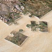 Africa; Kenia; Masai Mara; Three cheetah cubs; Legpuzzel (Zijkant)