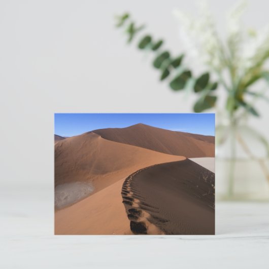 Africa, Namibië, Namib Naukluft National Park, 2 Briefkaart (Staand voorkant)