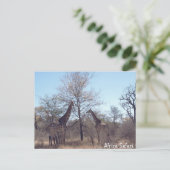 Africa Safari Briefkaart (Staand voorkant)