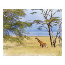 Africa Safari Giraffe Waterverf Painting