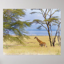 Africa Safari Giraffe Waterverf Painting Poster